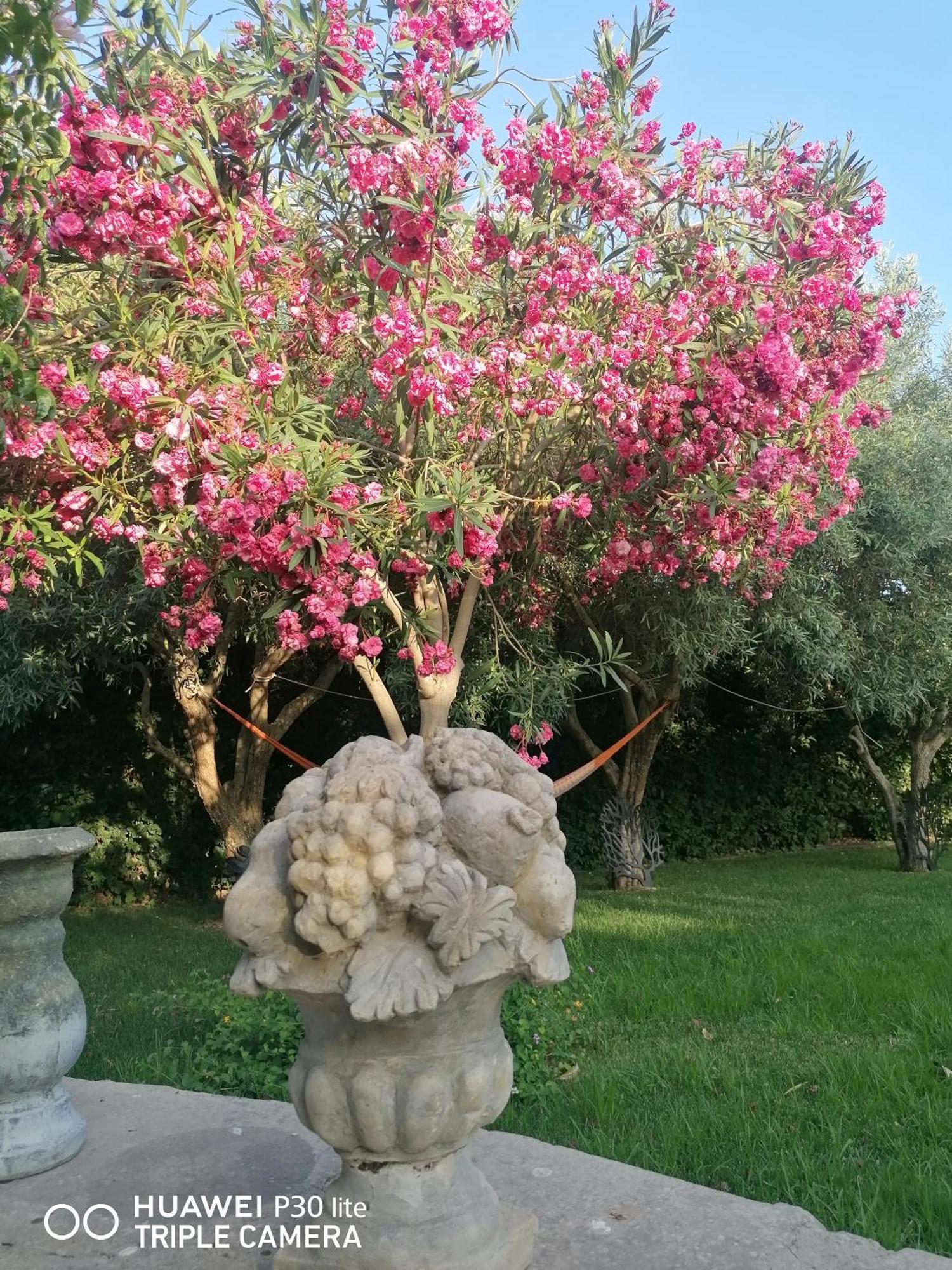 ホテル Oasi Di Campagna モーディカ エクステリア 写真